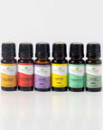 Plant Therapy Cleaning Essential Oil Set - OilyPod