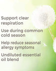 Plant Therapy Clear Again Essential Oil Blend - OilyPod