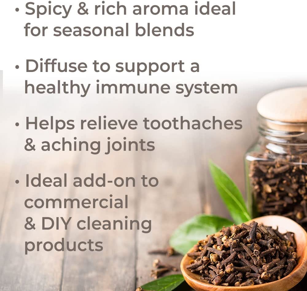 Plant Therapy Clove Bud Essential Oil - OilyPod
