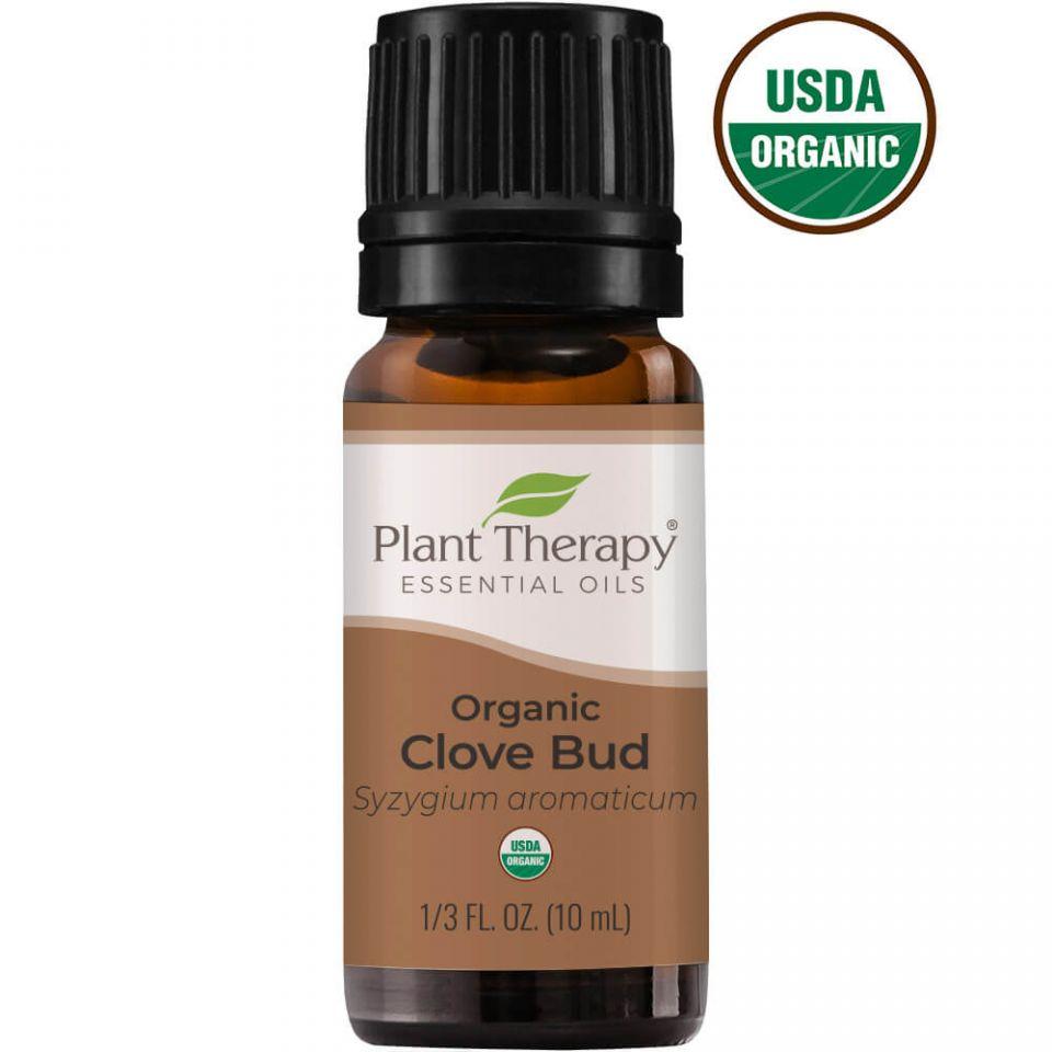 Plant Therapy Clove Bud Organic Essential Oil - OilyPod