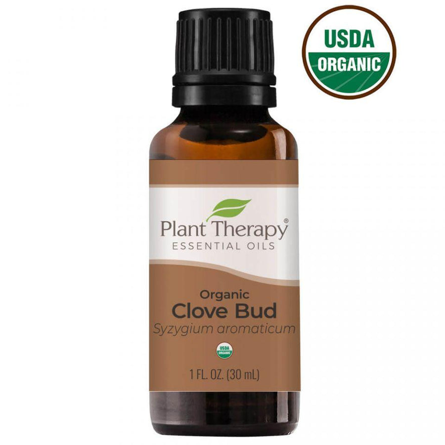 Plant Therapy Clove Bud Organic Essential Oil - OilyPod