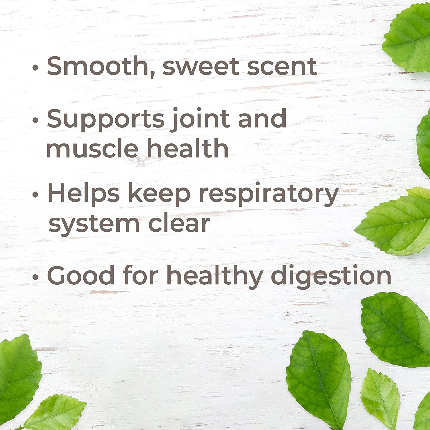 Plant Therapy Copaiba Oleoresin - OilyPod
