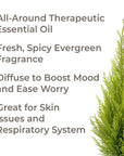 Plant Therapy Cypress Essential Oil - OilyPod