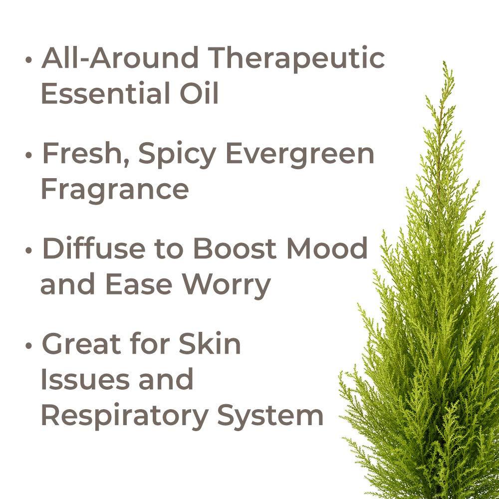 Plant Therapy Cypress Organic Essential Oil - OilyPod