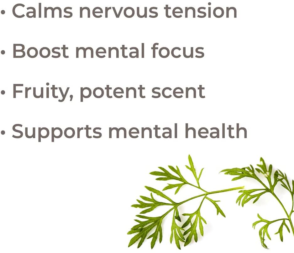 Plant Therapy Davana Essential Oil - OilyPod