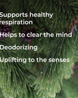 Plant Therapy Douglas Fir Essential Oil - OilyPod