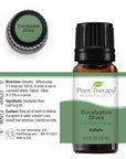 Plant Therapy Eucalyptus Dives Essential Oil - OilyPod