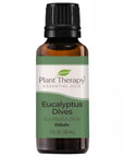 Plant Therapy Eucalyptus Dives Essential Oil - OilyPod