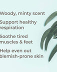 Plant Therapy Eucalyptus Dives Essential Oil - OilyPod