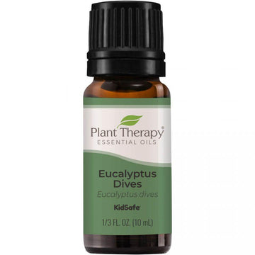 Plant Therapy Eucalyptus Dives Essential Oil - OilyPod