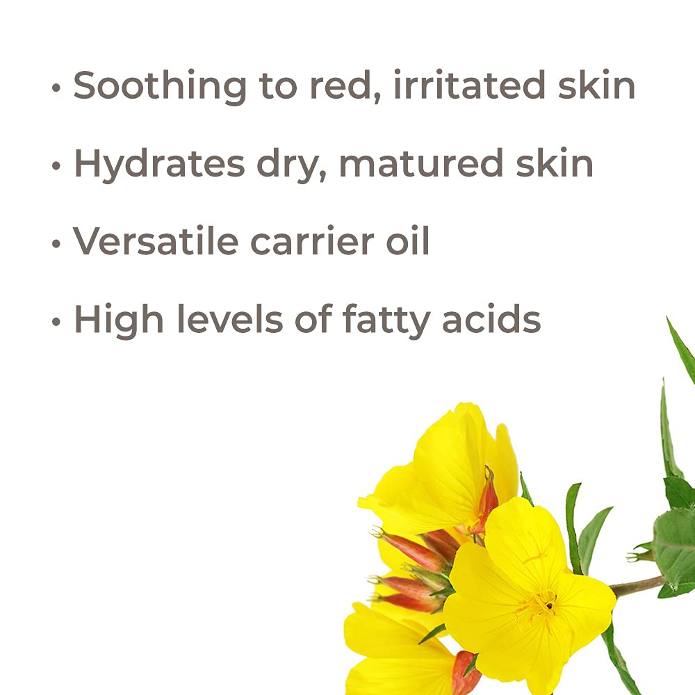 Plant Therapy Evening Primrose Carrier Oil - OilyPod