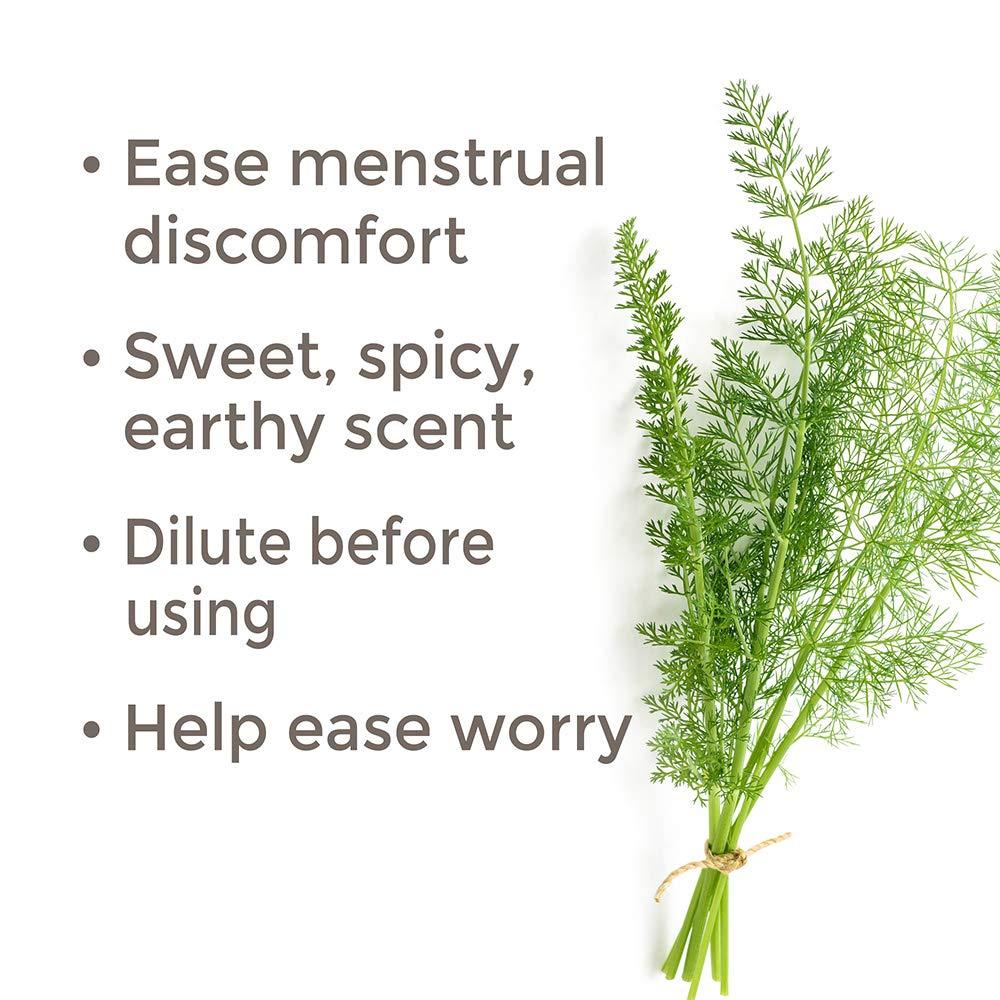 Plant Therapy Fennel Sweet Essential Oil - OilyPod