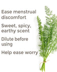 Plant Therapy Fennel Sweet Essential Oil - OilyPod