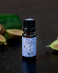 Plant Therapy Festive Fig Essential Oil Blend 10ml - OilyPod