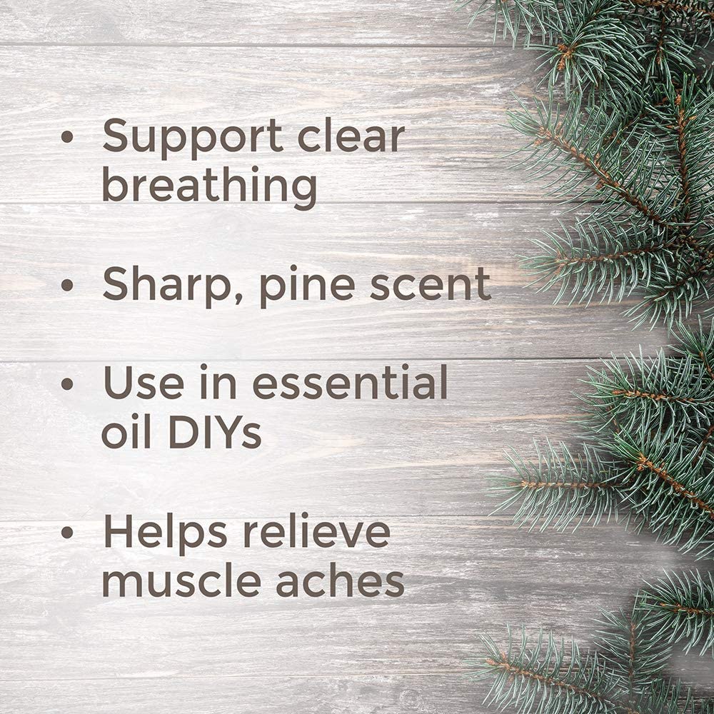 Plant Therapy Fir Needle Essential Oil - OilyPod
