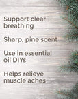 Plant Therapy Fir Needle Essential Oil - OilyPod