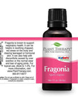 Plant Therapy Fragonia Essential Oil - OilyPod