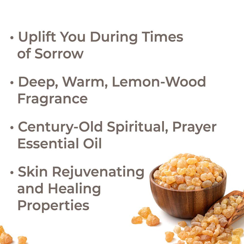 Plant Therapy Frankincense Carterii Essential Oil - OilyPod