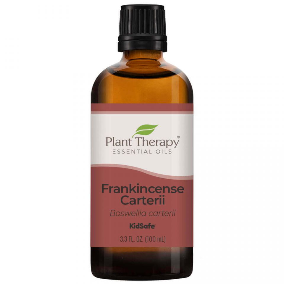 Plant Therapy Frankincense Carterii Essential Oil - OilyPod