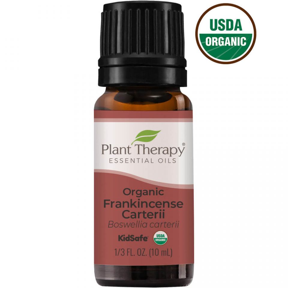 Plant Therapy Frankincense Carterii Organic Essential Oil - OilyPod