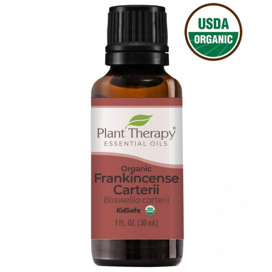 Plant Therapy Frankincense Carterii Organic Essential Oil - OilyPod