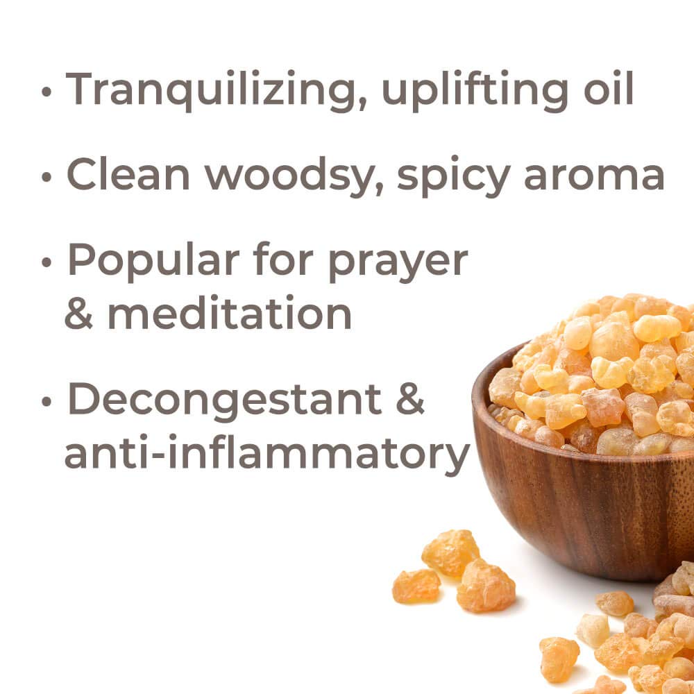 Plant Therapy Frankincense Serrata Essential Oil - OilyPod