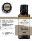 Plant Therapy Geranium Egyptian Essential Oil - OilyPod