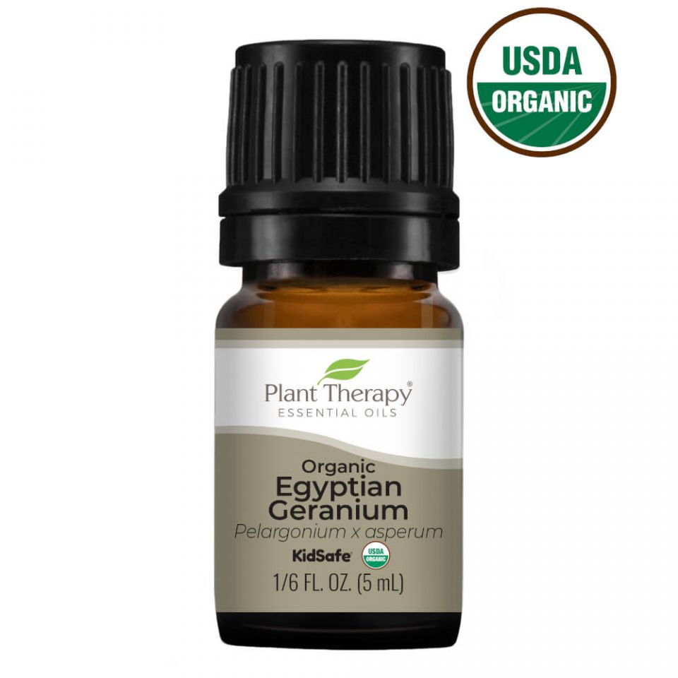 Plant Therapy Geranium Egyptian Organic Essential Oil - OilyPod