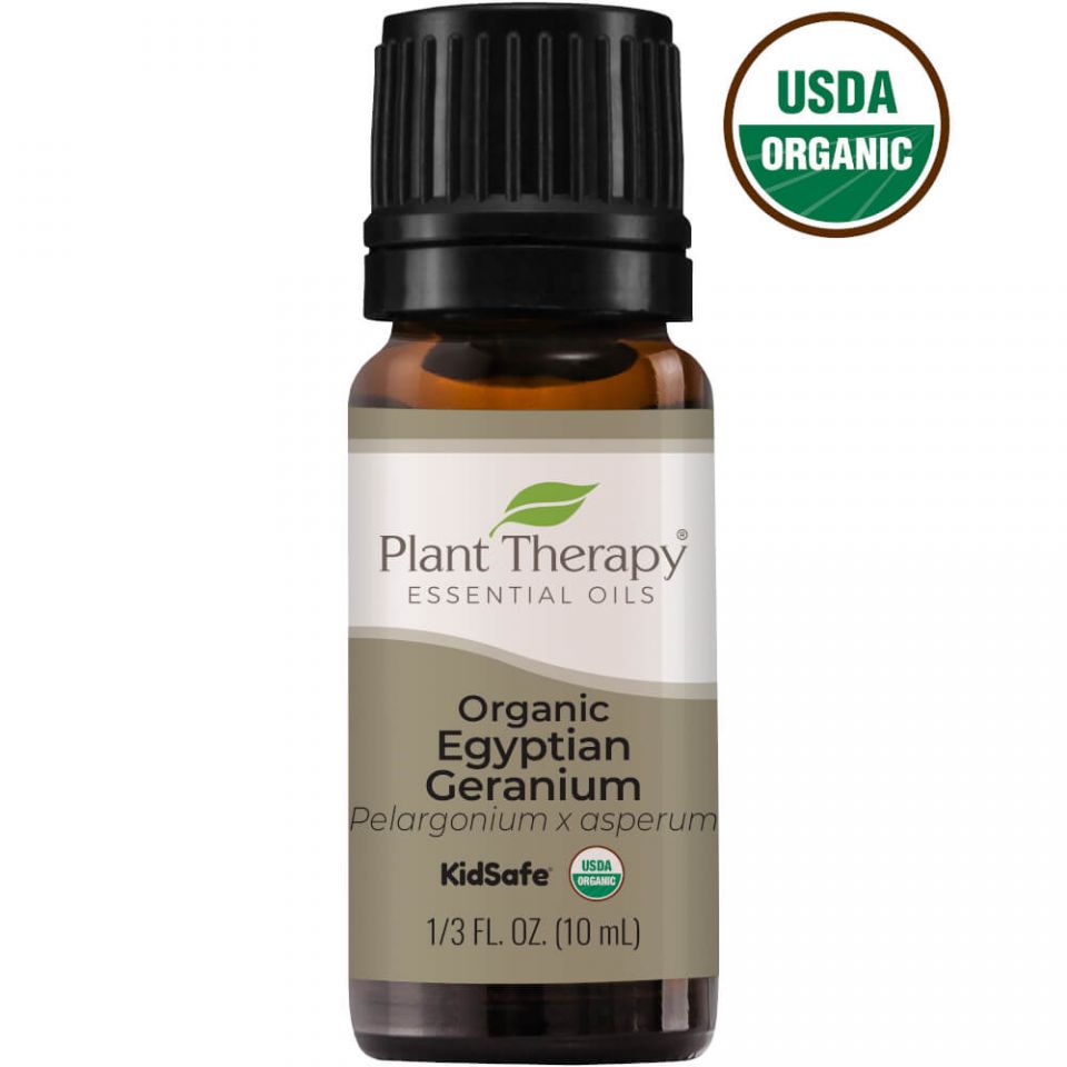 Plant Therapy Geranium Egyptian Organic Essential Oil - OilyPod