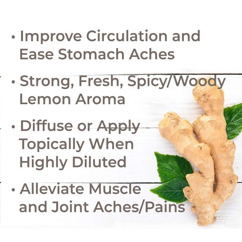 Plant Therapy Ginger Root CO2 Extract - OilyPod