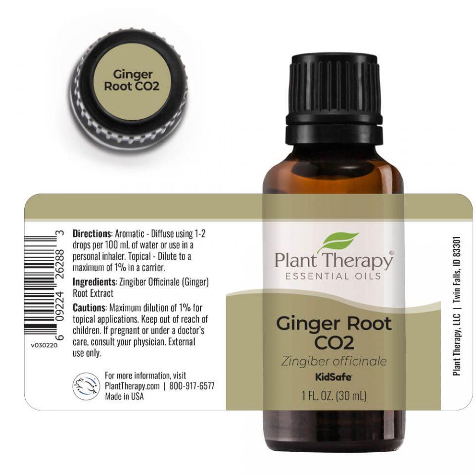 Plant Therapy Ginger Root CO2 Extract - OilyPod