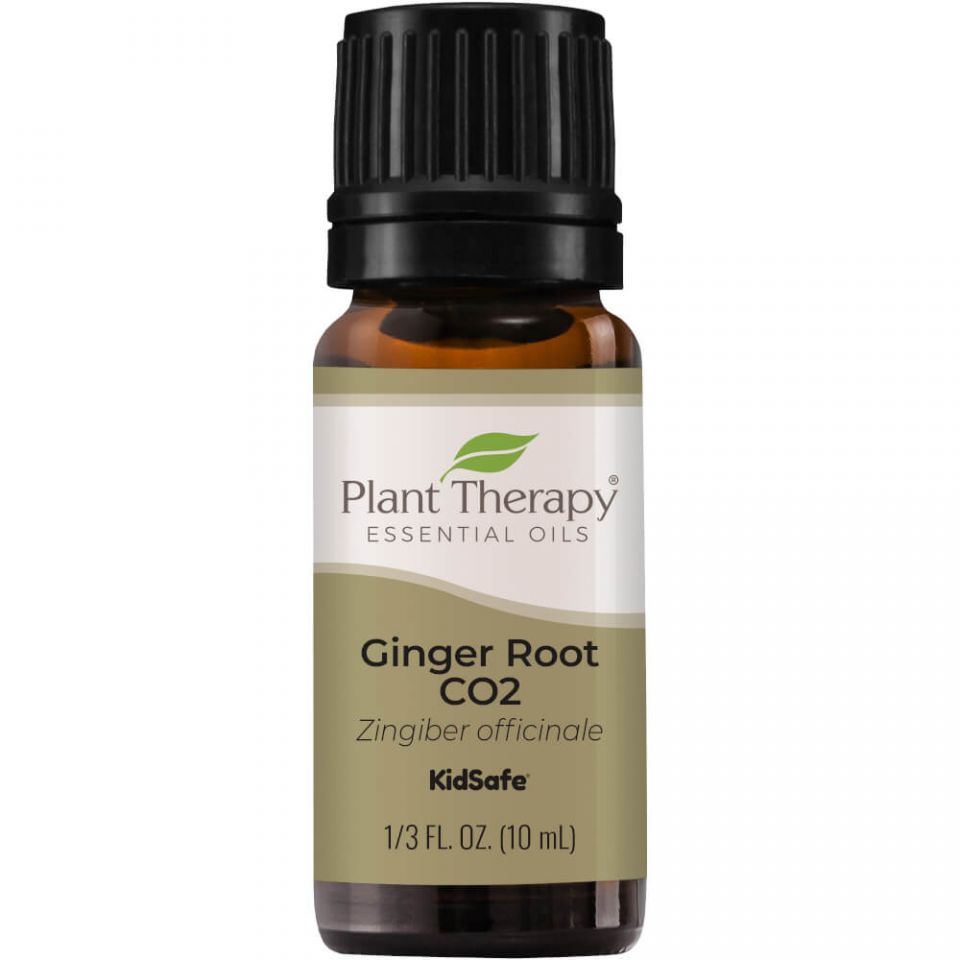 Plant Therapy Ginger Root CO2 Extract - OilyPod