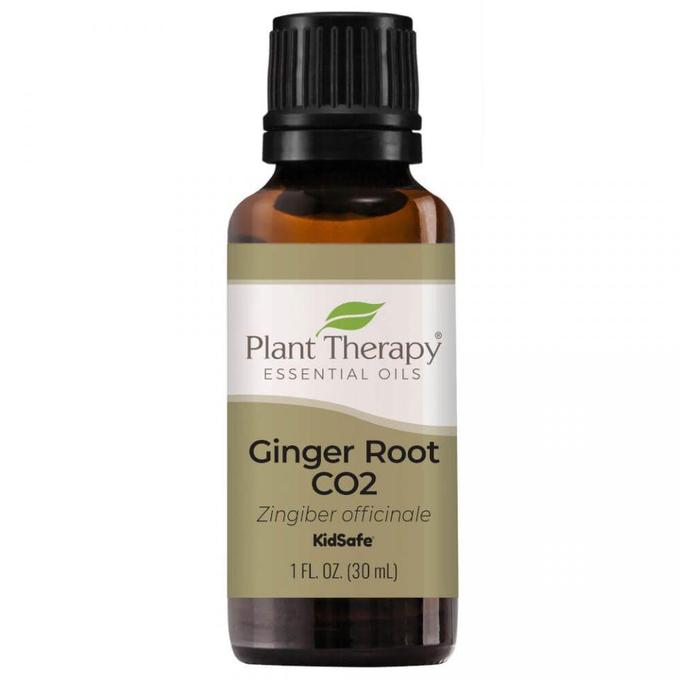 Plant Therapy Ginger Root CO2 Extract - OilyPod