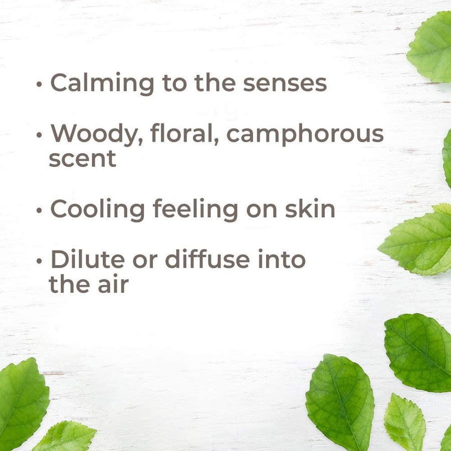 Plant Therapy Ho Wood Essential Oil - OilyPod