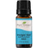 Plant Therapy Invigor Aid Essential Oil Blend - OilyPod