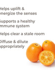 Plant Therapy Kumquat Essential Oil - OilyPod