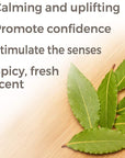 Plant Therapy Laurel Leaf Essential Oil - OilyPod