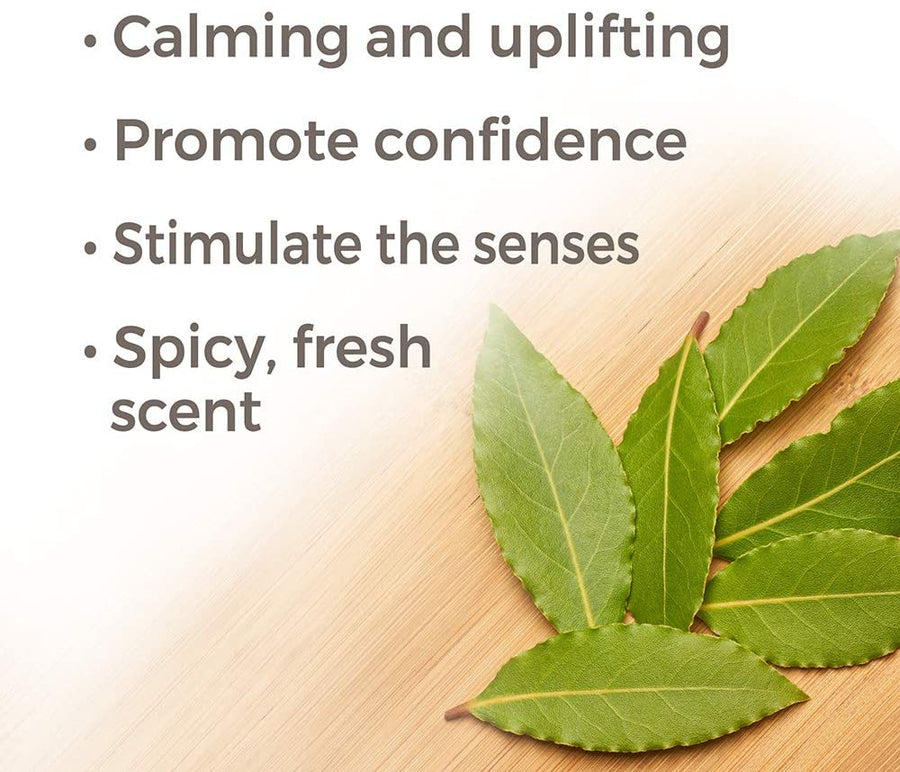 Plant Therapy Laurel Leaf Essential Oil - OilyPod