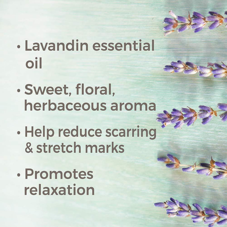 Plant Therapy Lavandin Essential Oil - OilyPod