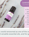 Plant Therapy Lavender Essential Oil - OilyPod
