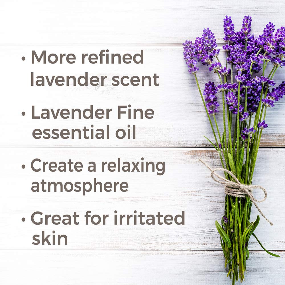 Plant Therapy Lavender Fine Essential Oil - OilyPod