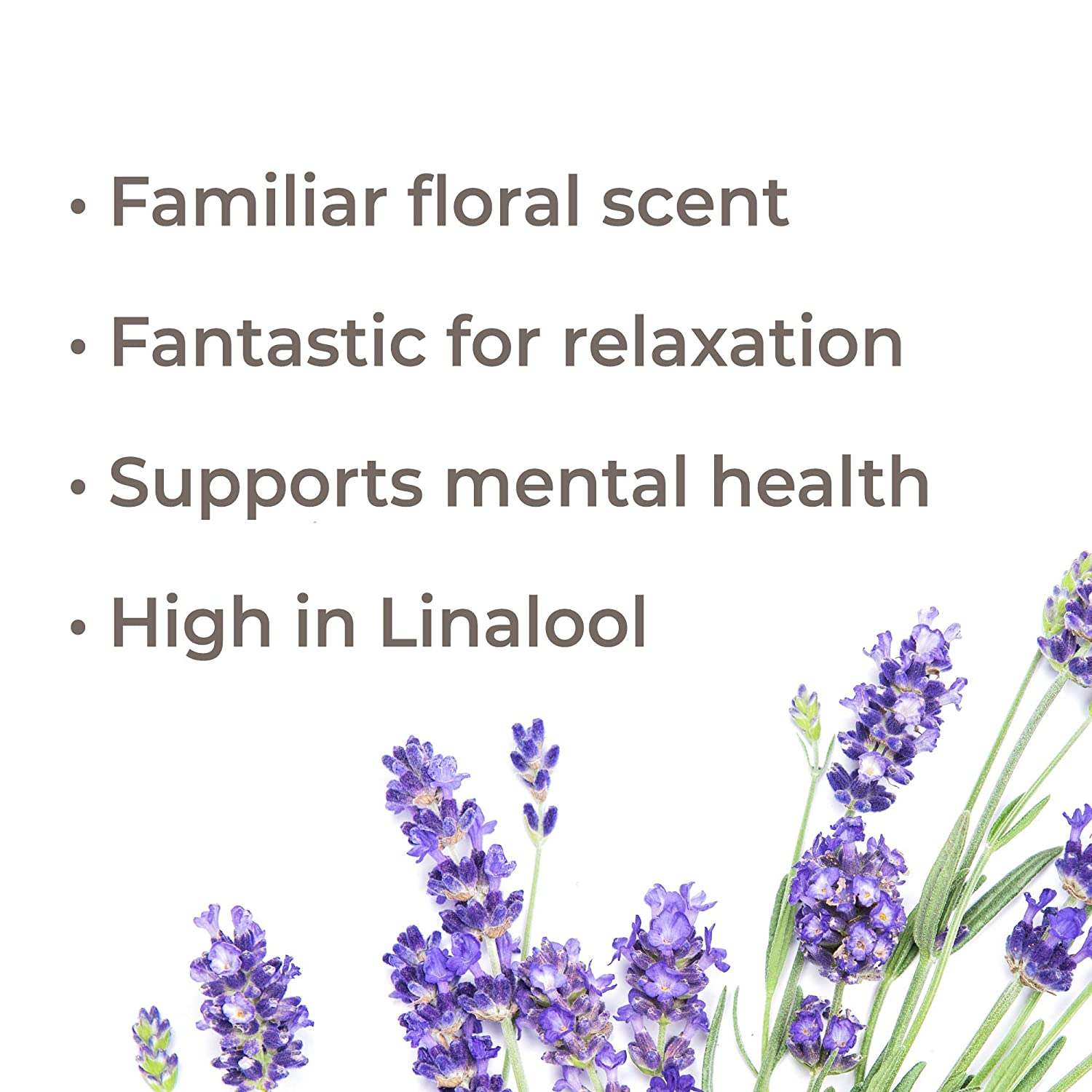 Plant Therapy Lavender Flower CO2 Extract - OilyPod