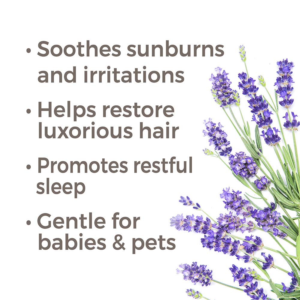 Plant Therapy Lavender Organic Hydrosol - OilyPod