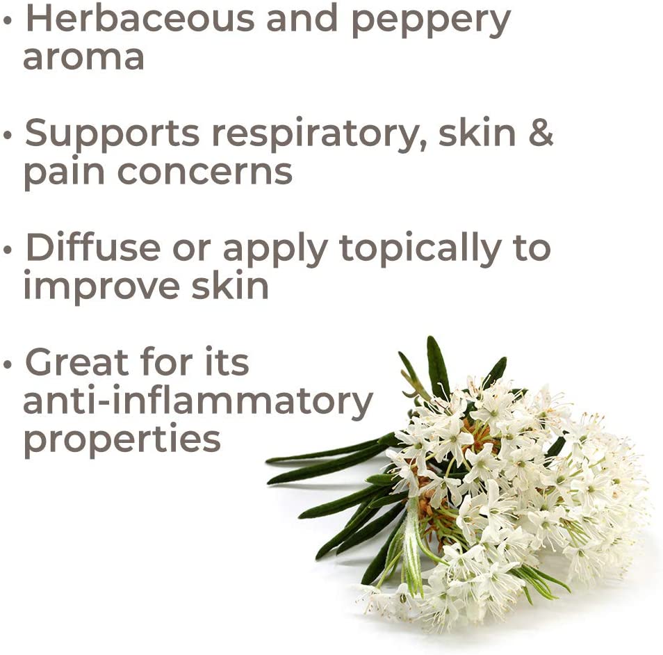 Plant Therapy Ledum Essential Oil - OilyPod