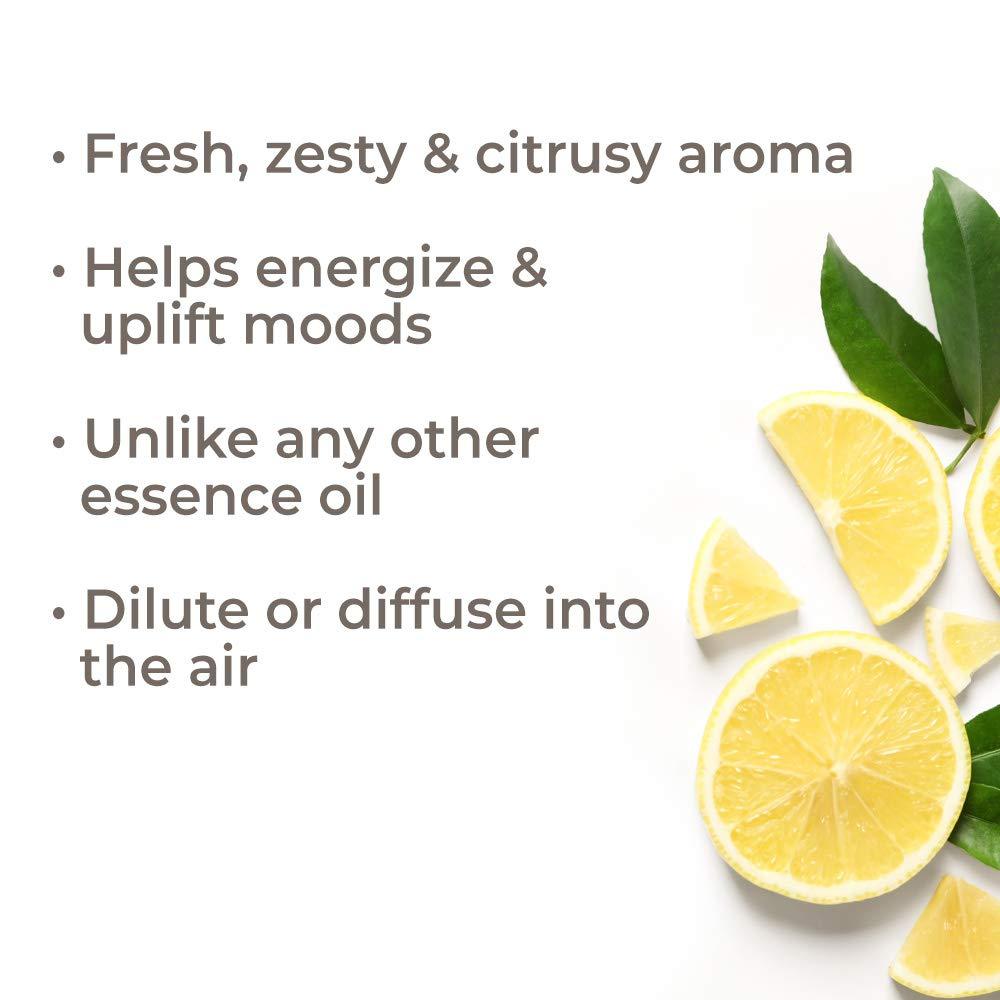 Plant Therapy Lemon Essence Oil 10 mL - OilyPod