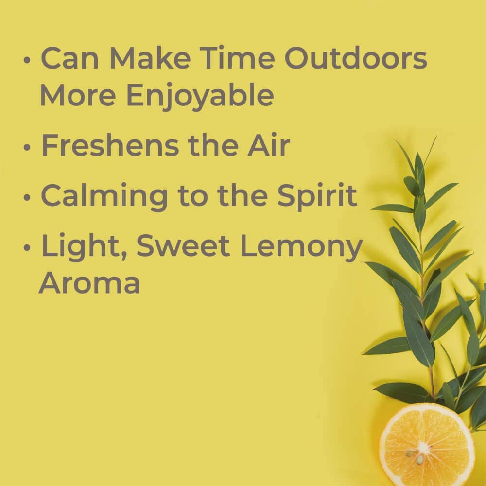 Plant Therapy Lemon Eucalyptus Organic Essential Oil - OilyPod