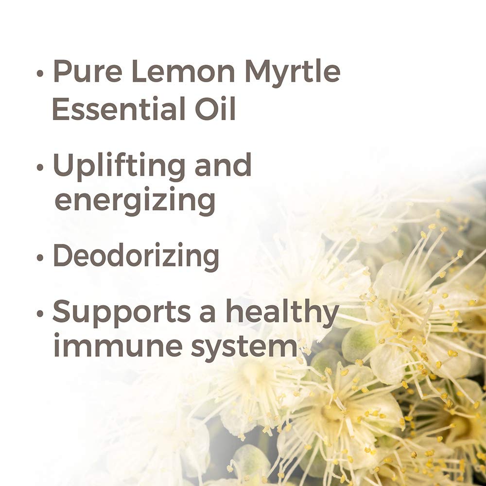 Plant Therapy Lemon Myrtle Essential Oil - OilyPod