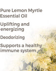 Plant Therapy Lemon Myrtle Essential Oil - OilyPod