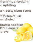 Plant Therapy Lemon Steam Distilled Essential Oil - OilyPod