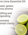 Plant Therapy Lime Essential Oil - OilyPod